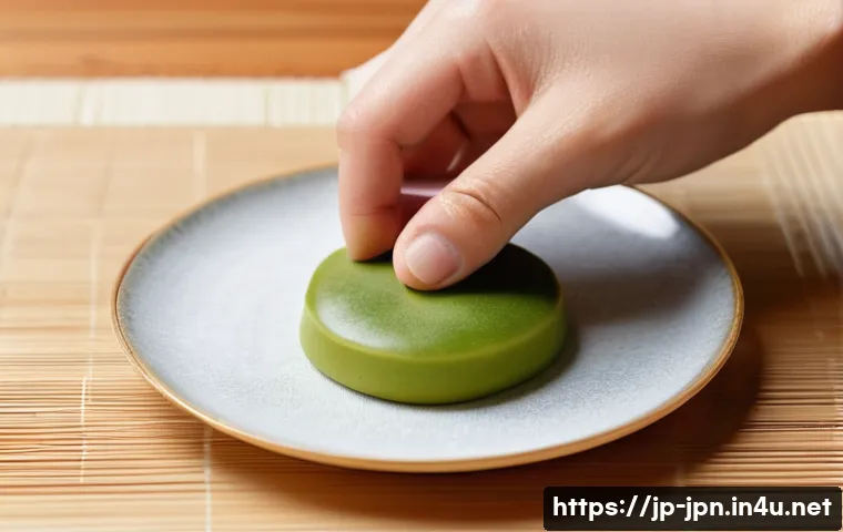 JLPT 취득 후 일본 문화 콘텐츠 제작 사례 관련 이미지 1